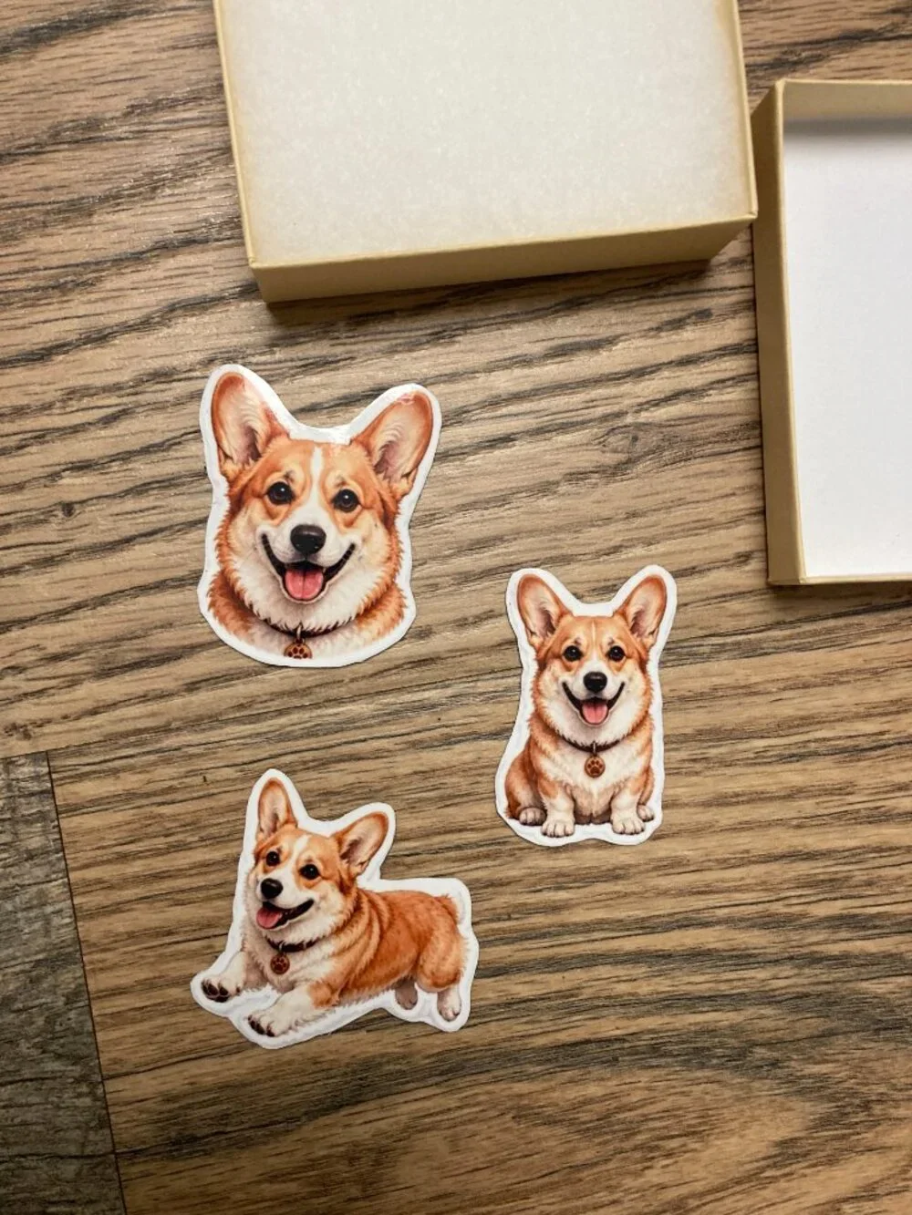 Thousand Walks these cute